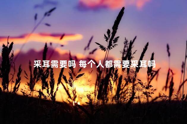 采耳需要吗 每个人都需要采耳吗